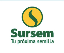 SURSEM